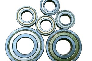 Pelletizer bearings